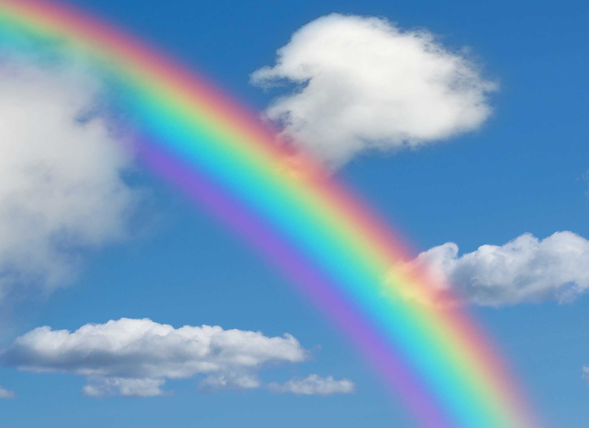 make a rainbow at home