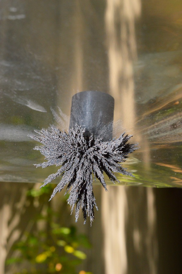 See the same 3D magnetic force field using a cellophane, iron filings and strong magnets
