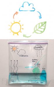 Water Cycle In A Bag | Simple Science Experiment For Kids
