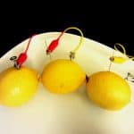 Connect 3 lemons together using nails, coppers and alligator clips to form a chain