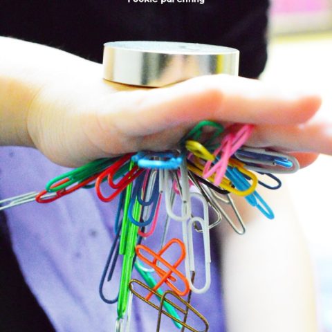 Easy Science Experiment Gravity And Magnetism Activity