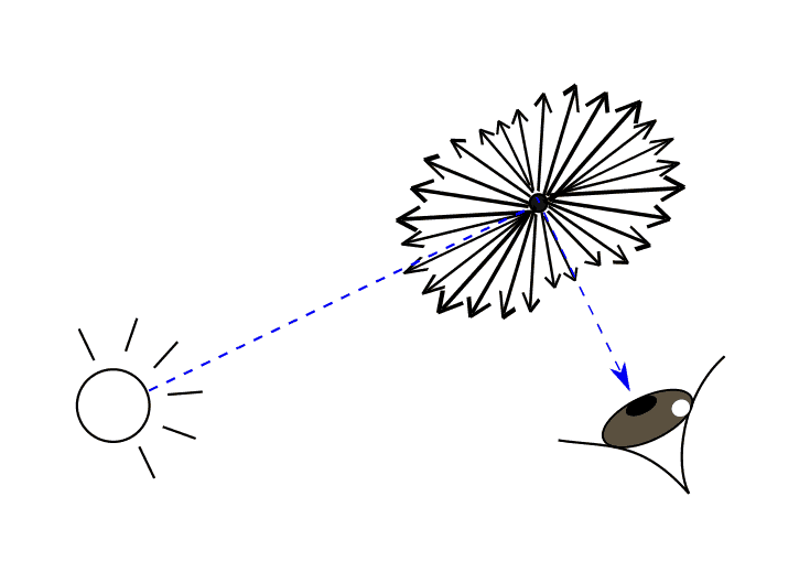 Diagram of how Rayleigh scattering is seen by human eyes.