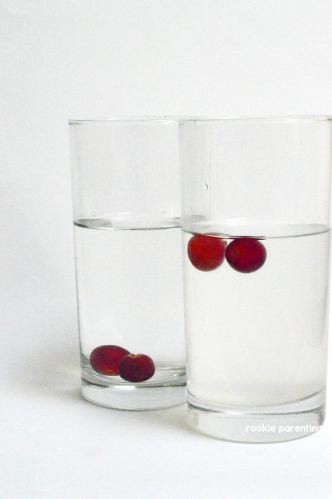 Salt Water Density Experiment