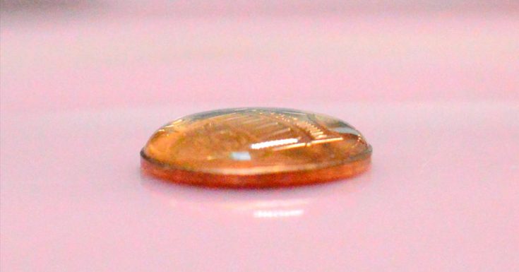 drops of water on top of penny form a dome shape
