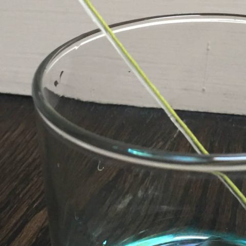 Water travels on a string into a glass in this science experiment.